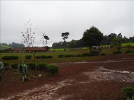 Limuru, szkoła