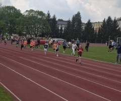 5e1b9d8b-2261-4586-84f0-f4b315706f22