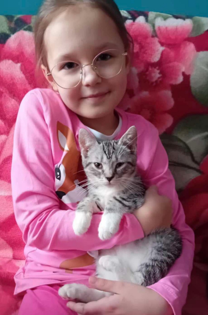 catday-25-08