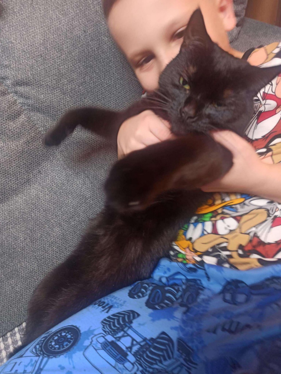 catday-25-11