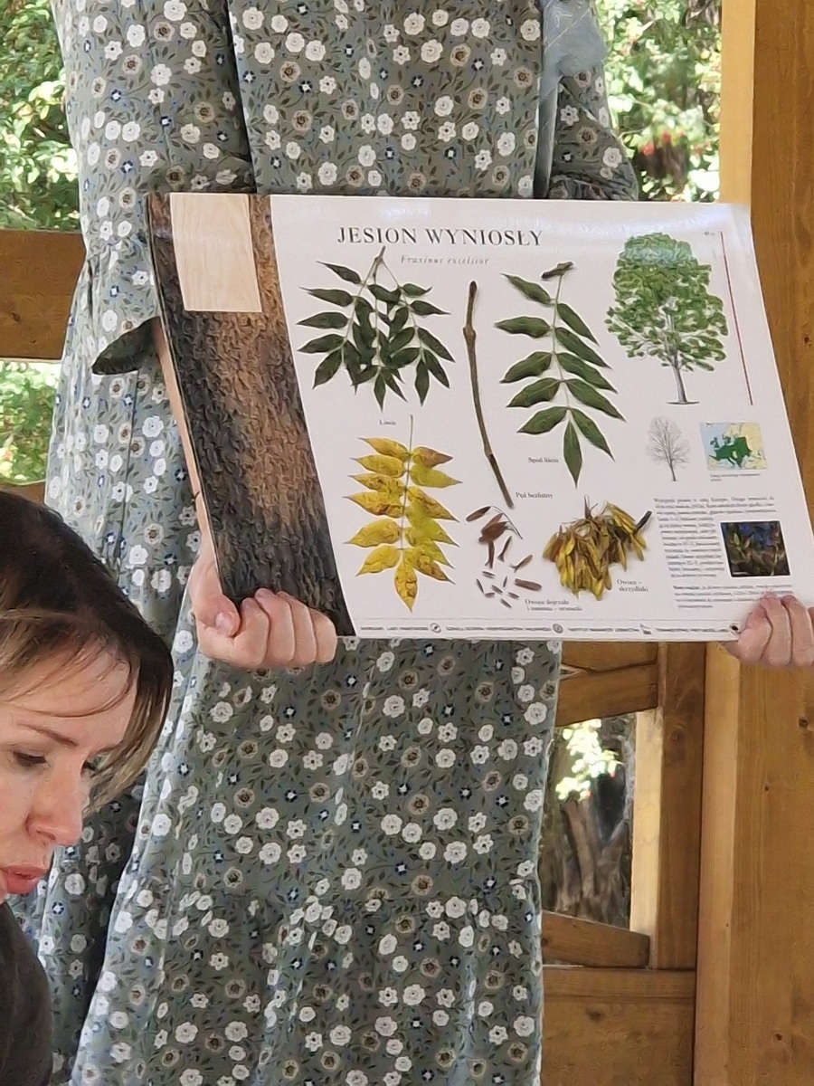 cwis-w-parku-04