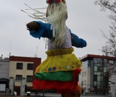 IMG_5338
