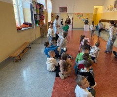 IMG_3133