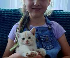 IMG-20240213-WA0000