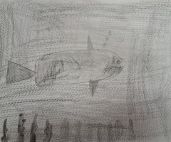 20230321_094506
