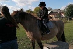 IMG_20221011_143156