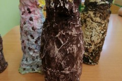 IMG_20220304_135023