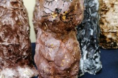 IMG_20220316_081922