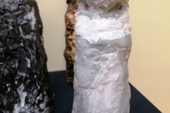 IMG_20220316_081928