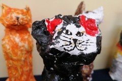 IMG_20220316_082238