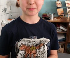 IMG20260310092611