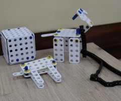 IMG_0259_cr