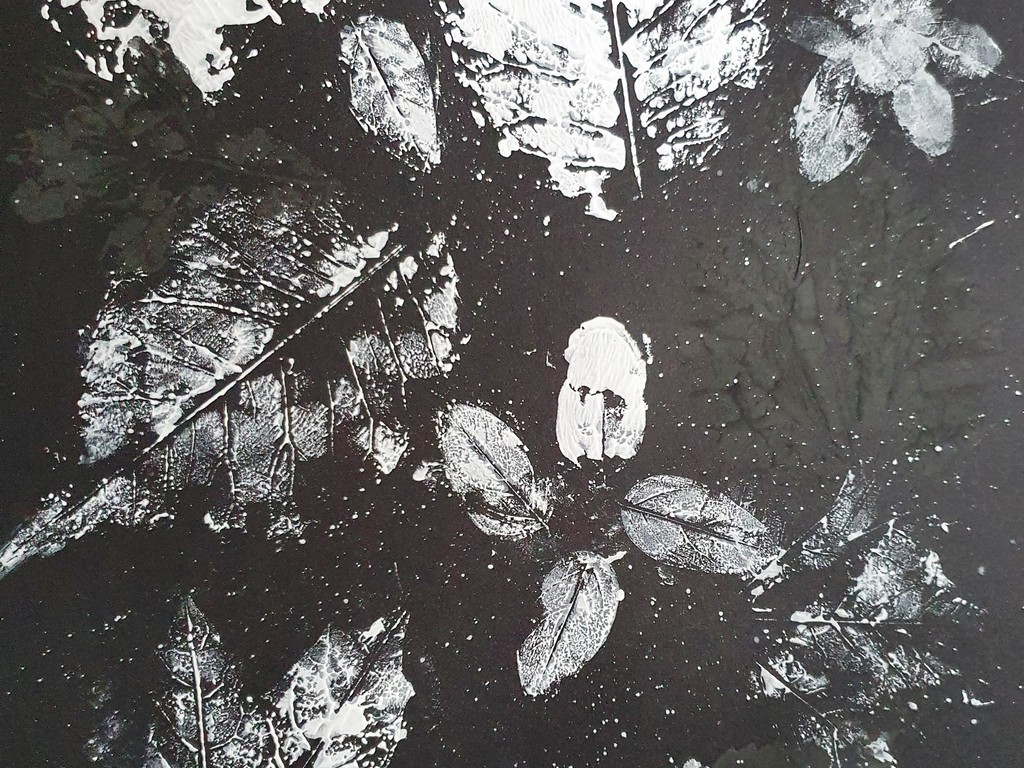 20221026_161911