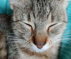 image000000