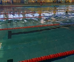 IMG_20231108_111118_HDR