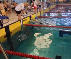 IMG_20231108_111123_HDR