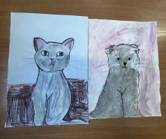 IMG_9148