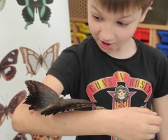 IMG_20240607_113831