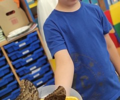 IMG_20240607_114052