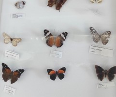 IMG_20240607_114942