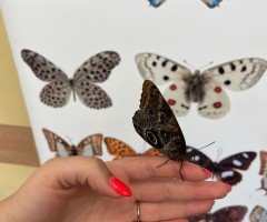 IMG_7768