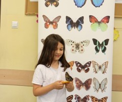 IMG_7585
