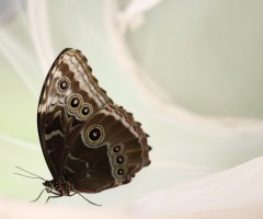 IMG_7604