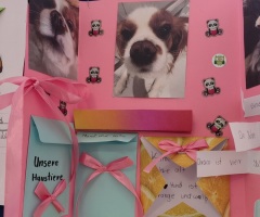 pupile2025jn_06
