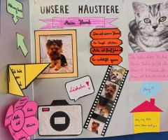 pupile2025jn_08