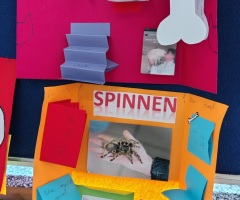 pupile2025jn_11