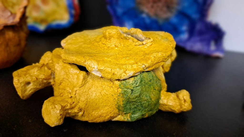 20240228_070406