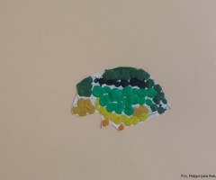 20241126_150058_cr