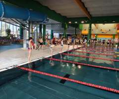 196ac9e6-4816-42d8-bb73-afd67168d46b