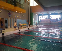 IMG_20230322_095552864