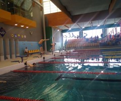 IMG_20230322_095720444