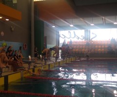 IMG_20230322_123733262