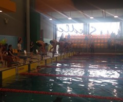 IMG_20230322_123744797-1