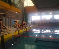 IMG_20230322_124919426