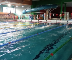 168bba4d-84ac-4494-bd19-dc7b2a185f25