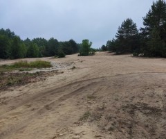 IMG_20230613_092644