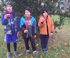 bbba93bd-57d4-486c-845e-d080dd885586