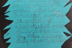 Natalia-Wdowiak-blurb