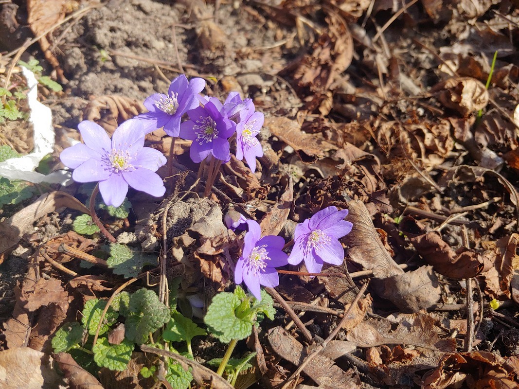 20250321_110859_HDR