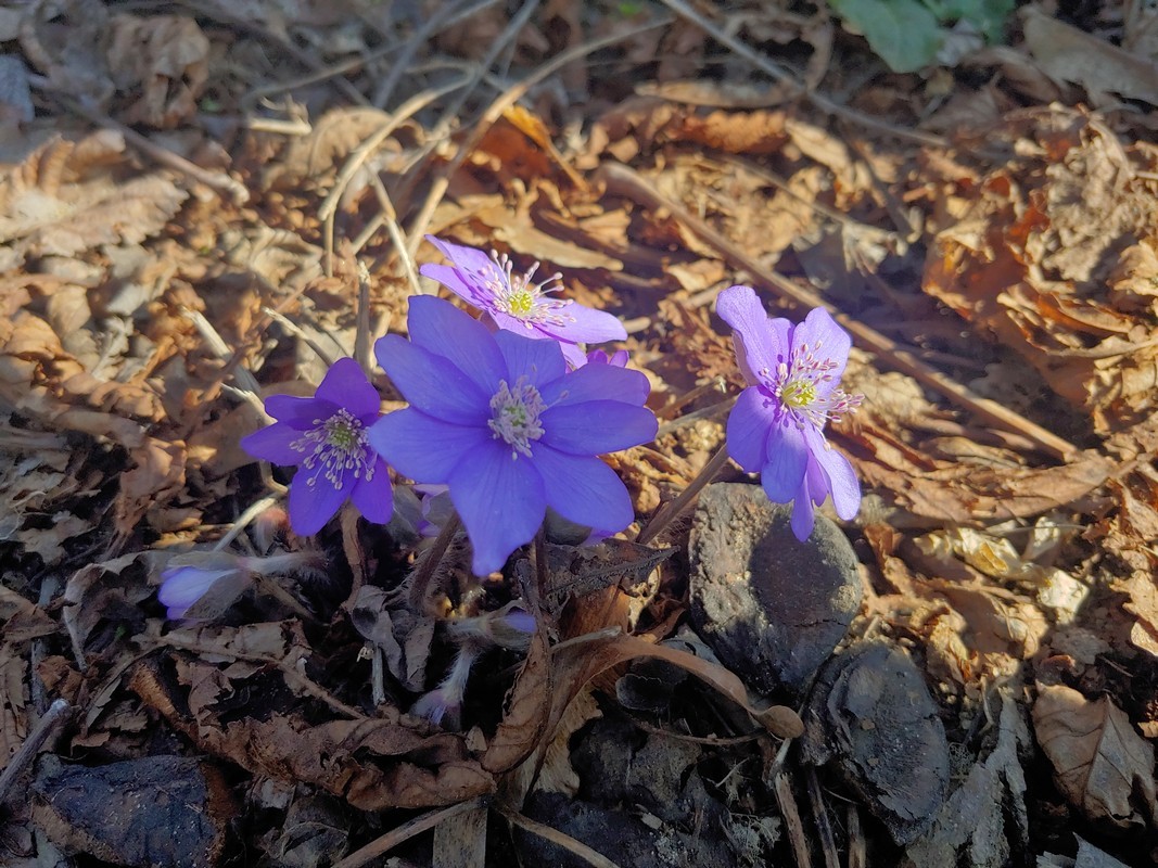 20250321_111012_HDR