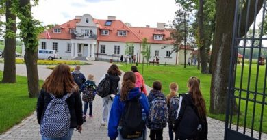 Sukcesy plastyczne XIII Festiwalu Kultury Ostrówek 2025 Sukcesy plastyczne XIII Festiwalu Kultury Ostrówek 2025