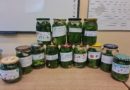 Akcja: Fermentacja! – odkrywamy tajemnice kiszenia Akcja: Fermentacja! – odkrywamy tajemnice kiszenia